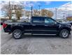 2024 Ford F-150 XLT (Stk: 2406230) in Ottawa - Image 4 of 19