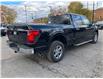 2024 Ford F-150 XLT (Stk: 2406230) in Ottawa - Image 5 of 19