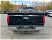 2024 Ford F-150 XLT (Stk: 2406230) in Ottawa - Image 6 of 19