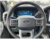 2024 Ford F-150 XLT (Stk: 2406230) in Ottawa - Image 10 of 19