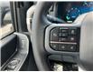 2024 Ford F-150 XLT (Stk: 2406230) in Ottawa - Image 12 of 19
