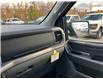 2024 Ford F-150 XLT (Stk: 2406230) in Ottawa - Image 17 of 19