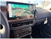 2025 Ford Bronco Sport Outer Banks (Stk: 2500550) in Ottawa - Image 10 of 10