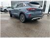 2025 Ford Escape PHEV (Stk: 2501060) in Ottawa - Image 4 of 11