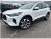 2025 Ford Escape Platinum (Stk: 2501790) in Ottawa - Image 1 of 11