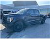 2025 Ford F-150 Lariat (Stk: 2501590) in Ottawa - Image 1 of 11