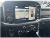 2025 Ford F-150 XLT (Stk: 2501140) in Ottawa - Image 15 of 15