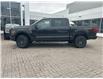 2025 Ford F-150 Tremor (Stk: 2501600) in Ottawa - Image 3 of 16