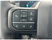 2025 Ford F-150 Tremor (Stk: 2501600) in Ottawa - Image 12 of 16