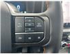 2025 Ford F-150 Tremor (Stk: 2501600) in Ottawa - Image 13 of 16