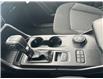 2025 Ford Ranger XLT (Stk: 2501340) in Ottawa - Image 13 of 15