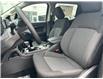 2025 Ford Ranger XLT (Stk: 2502600) in Ottawa - Image 15 of 27