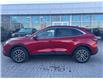2025 Ford Escape PHEV (Stk: 2500800) in Ottawa - Image 3 of 12