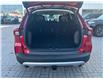 2025 Ford Escape PHEV (Stk: 2500800) in Ottawa - Image 6 of 12