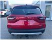 2025 Ford Escape Platinum (Stk: 2502460) in Ottawa - Image 5 of 15