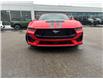 2025 Ford Mustang GT (Stk: 2501290) in Ottawa - Image 2 of 18