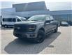 2025 Ford F-150 XLT (Stk: 2502470) in Ottawa - Image 1 of 16