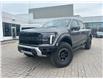 2025 Ford F-150 Raptor (Stk: 2502240) in Ottawa - Image 1 of 16