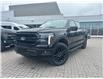 2025 Ford F-150 Lariat (Stk: 2502480) in Ottawa - Image 1 of 17
