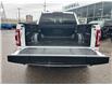 2023 Ford F-150 Raptor (Stk: 2501481) in Ottawa - Image 6 of 17