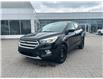 2019 Ford Escape SE (Stk: 2500271) in Ottawa - Image 1 of 15