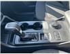 2025 Ford Ranger XLT (Stk: 2502900) in Ottawa - Image 12 of 15