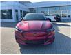 2025 Ford Mustang Mach-E Select (Stk: 2502190) in Ottawa - Image 2 of 16