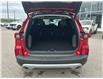2025 Ford Escape Platinum (Stk: 2502700) in Ottawa - Image 6 of 16