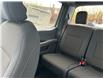 2025 Ford F-150 STX (Stk: 2503670) in Ottawa - Image 16 of 16