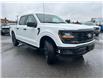 2025 Ford F-150 STX (Stk: 2503670) in Ottawa - Image 3 of 16