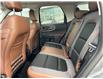 2024 Ford Bronco Sport Outer Banks (Stk: 2503861) in Ottawa - Image 10 of 17
