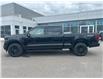 2025 Ford F-150 XLT (Stk: 2502530) in Ottawa - Image 3 of 16