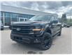2025 Ford F-150 XLT (Stk: 2502530) in Ottawa - Image 1 of 16