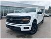 2025 Ford F-150 XLT (Stk: 2504040) in Ottawa - Image 1 of 15