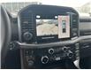2025 Ford F-150 XLT (Stk: 2503770) in Ottawa - Image 16 of 16
