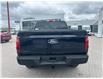 2025 Ford F-150 XLT (Stk: 2504170) in Ottawa - Image 5 of 14