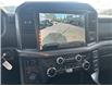 2025 Ford F-150 XLT (Stk: 2504060) in Ottawa - Image 15 of 15