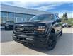 2025 Ford F-150 XLT (Stk: 2504060) in Ottawa - Image 1 of 15