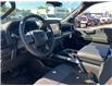 2025 Ford F-150 STX (Stk: 2504210) in Ottawa - Image 6 of 17