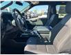 2025 Ford F-150 STX (Stk: 2504210) in Ottawa - Image 7 of 17
