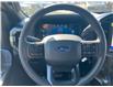 2025 Ford F-150 STX (Stk: 2504210) in Ottawa - Image 9 of 17