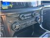 2025 Ford F-150 STX (Stk: 2504210) in Ottawa - Image 14 of 17