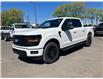 2025 Ford F-150 XLT (Stk: 2504050) in Ottawa - Image 1 of 17