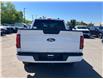2025 Ford F-150 XLT (Stk: 2504050) in Ottawa - Image 5 of 17