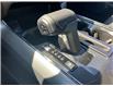 2025 Ford F-150 XLT (Stk: 2504050) in Ottawa - Image 13 of 17