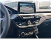 2025 Ford Escape Active (Stk: 2504350) in Ottawa - Image 15 of 16