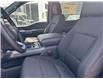2025 Ford F-150 XLT (Stk: 2504720) in Ottawa - Image 8 of 16