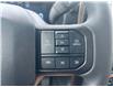 2025 Ford F-150 STX (Stk: 2504590) in Ottawa - Image 12 of 15