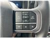 2025 Ford F-150 XLT (Stk: 2504220) in Ottawa - Image 12 of 16