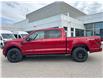 2025 Ford F-150 XLT (Stk: 2504220) in Ottawa - Image 2 of 16